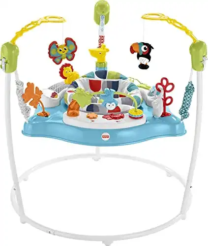 Fisher-Price Baby Bouncer